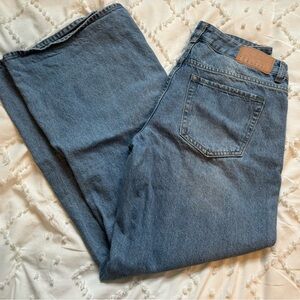 Pacsun Casey Low Rise Baggy Jeans